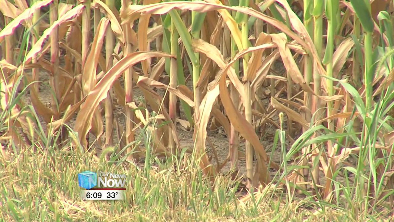 Farmers adjust to government shutdown 1.jpg
